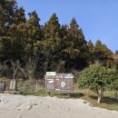 [제주 서쪽 가볼만한곳] 분화구가 아름다운 '금오름' 가족 여행 방문 후기 (주차, 소요시간)]
