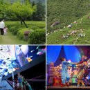 엑스포로1 이미지