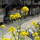 숯골농장 이미지