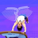 제천체육관 올림픽스포츠센터 이미지