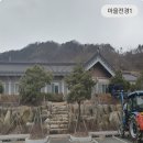 봉정사국화마을 이미지