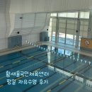[분당 수영장] 황새울국민체육센터 평일 자유수영 후기 | 일일입장 요금, 시간표, 키오스크 위치