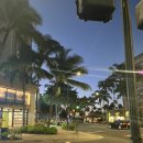 JK 목장 | [하와이 신혼여행 6일차] 쿠알로아랜치 UTV 랩터 투어, 에그앤띵스 구글 예약 방법