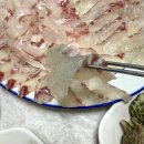 금산횟집 | [남해 맛집] 금산횟집 사장님이 직접 잡아오는 감성돔 이 가격 실화? 인생횟집 방문후기
