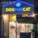 별내동 애견용품 도그마캣 별내점 위치.가격.시간.후기
