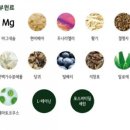 디엠아이 이미지