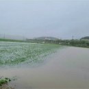 포남빗물펌프장 이미지