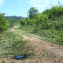 황기순농장 이미지