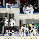 차돌체육관(태권도) 이미지