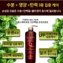 퀸스헤어 - 남동구 | 퀸스헤어