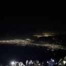 트립올라