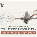 건원초등학교 이미지