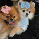 엘리하우스 이미지