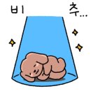 푸글렌서울