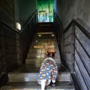 영암매점 | 영암 아기랑 가볼만한곳 영암곤충박물관 후기