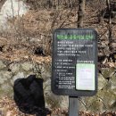 솔바람교 옹달샘 네이버블로그
