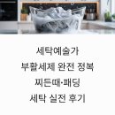 스마트 플러스 세탁 | 세탁예술가 부활세제 완전 정복 — 찌든때·패딩 세탁 실전 후기