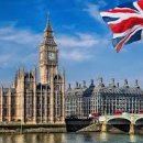 애니카랜드 송강점 이미지