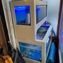 이로운바다 | [제주 함덕 맛집] 돌멍게·고갈비에 취하는 함덕 '이로운 술상' 방문기