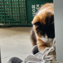 송동축사 이미지