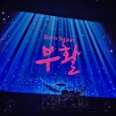 부활 콘서트 with 김종서 박완규 | 락 전설의 부활 / 부활 콘서트 기본정보 / 관람후기(대구 공연-천마 아트센터)