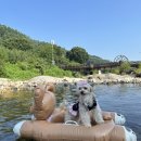 다복튜브