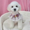 메모리멍 이미지