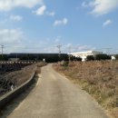 일과리-2 이미지