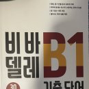 델레 dele b1 2.5주 벼락치기 후기
