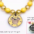 미키애견 이미지