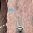 수양빌 | 양산 통도사 우담바라 꽃 홍매화 자장매 위치 주차장 입장료 근처 맛집 카페 아이와 후기