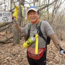 경기도 이천시청 이미지