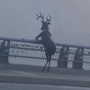 보다.쓰다.말하다:너에게 쓰는 편지 | 난 핸들이 고장 난 eight톤 트럭