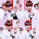 추석엔 송편이쥐 이미지