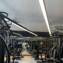 머슬데몬 이미지