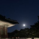 48.가을 경복궁 야경, 안산 상록수 네일피움, 안산귀요미 코코, 안산에서안동 버스