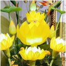 미라4길 이미지