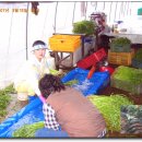 이순이농장 이미지