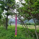 기린 다목적체육관 | 23년 옥스팜 100Km 트레일워커 완주