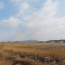 현대서산영농조합법인 Daum카페