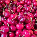 풍림농원 이미지