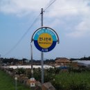 먼나머루 이미지