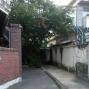 부강한약국 이미지