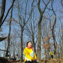 초안산길 이미지