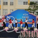 `제12회 지보면민 체육대회 및 노래자랑-4천 知保面民들의 축제 이미지