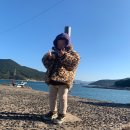 용초도펜션 이미지
