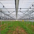 월리농장 이미지