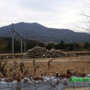 추풍령우체국 이미지