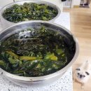 원푸드뱅크 | 하찮은 5일간 미역국 - 1.9kg 다이어트 장점 + 단점
