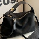 도그데일리 이미지